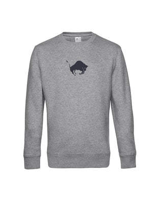 Sõnn pusa samettrükiga